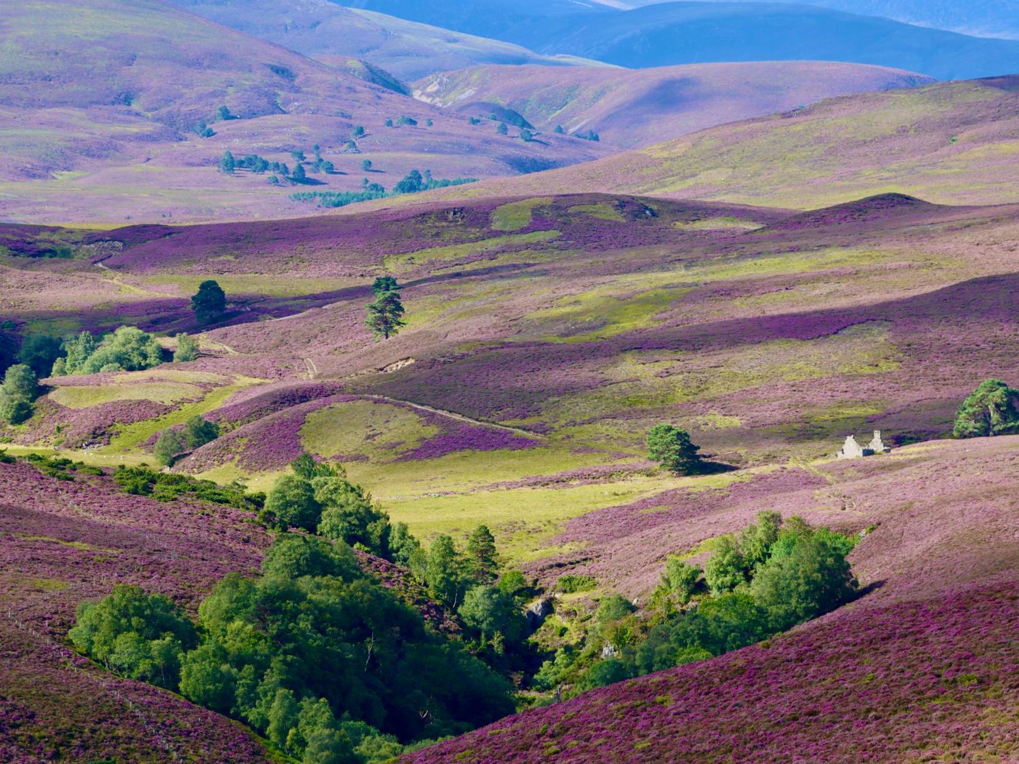 Kilmuir Cottage Tomintoul Buitenkant foto